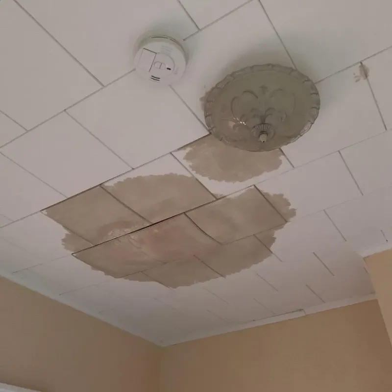Ceiling Water Damage Repair in Walkertown, NC