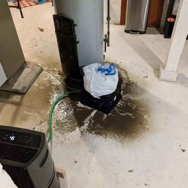 Sewage Backup Cleanup Service in Walkertown, NC